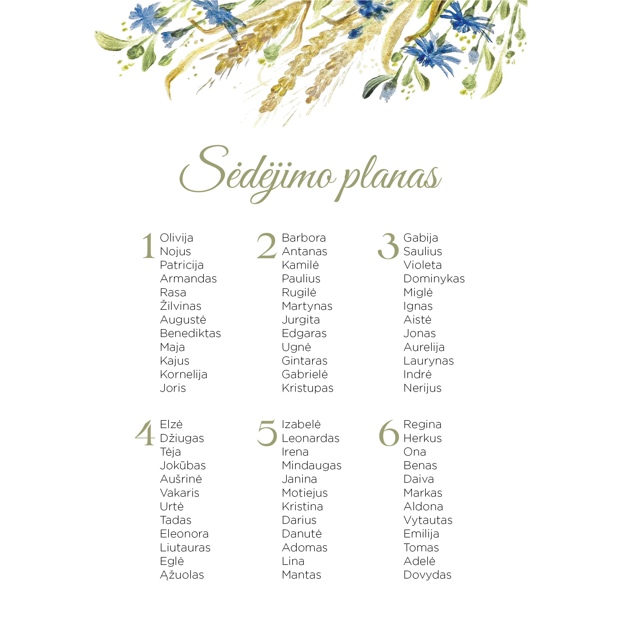Sėdėjimo planas su rugiagėlėmis