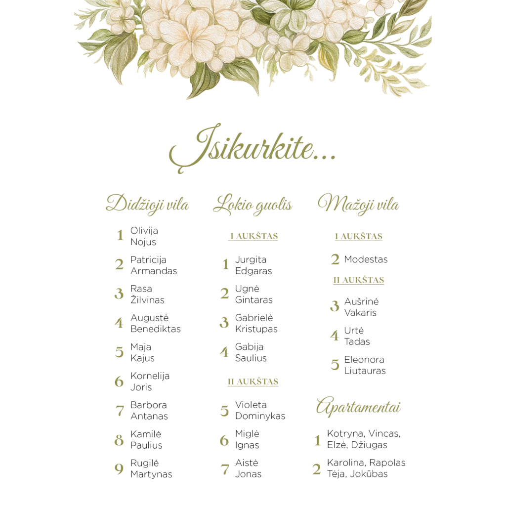 Nakvynės planas su hortenzijomis vestuvėms, gimtadieniui, krikštynoms.