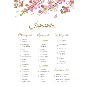 Nakvynės planas su obels žiedais vestuvėms, gimtadieniui, krikštynoms.