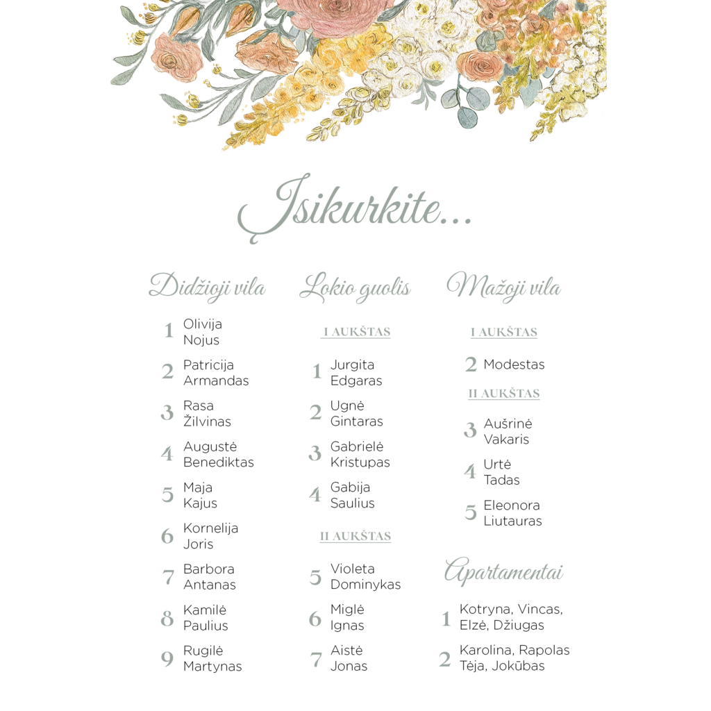 Nakvynės planas su žioveiniais vestuvėms, gimtadieniui, krikštynoms.